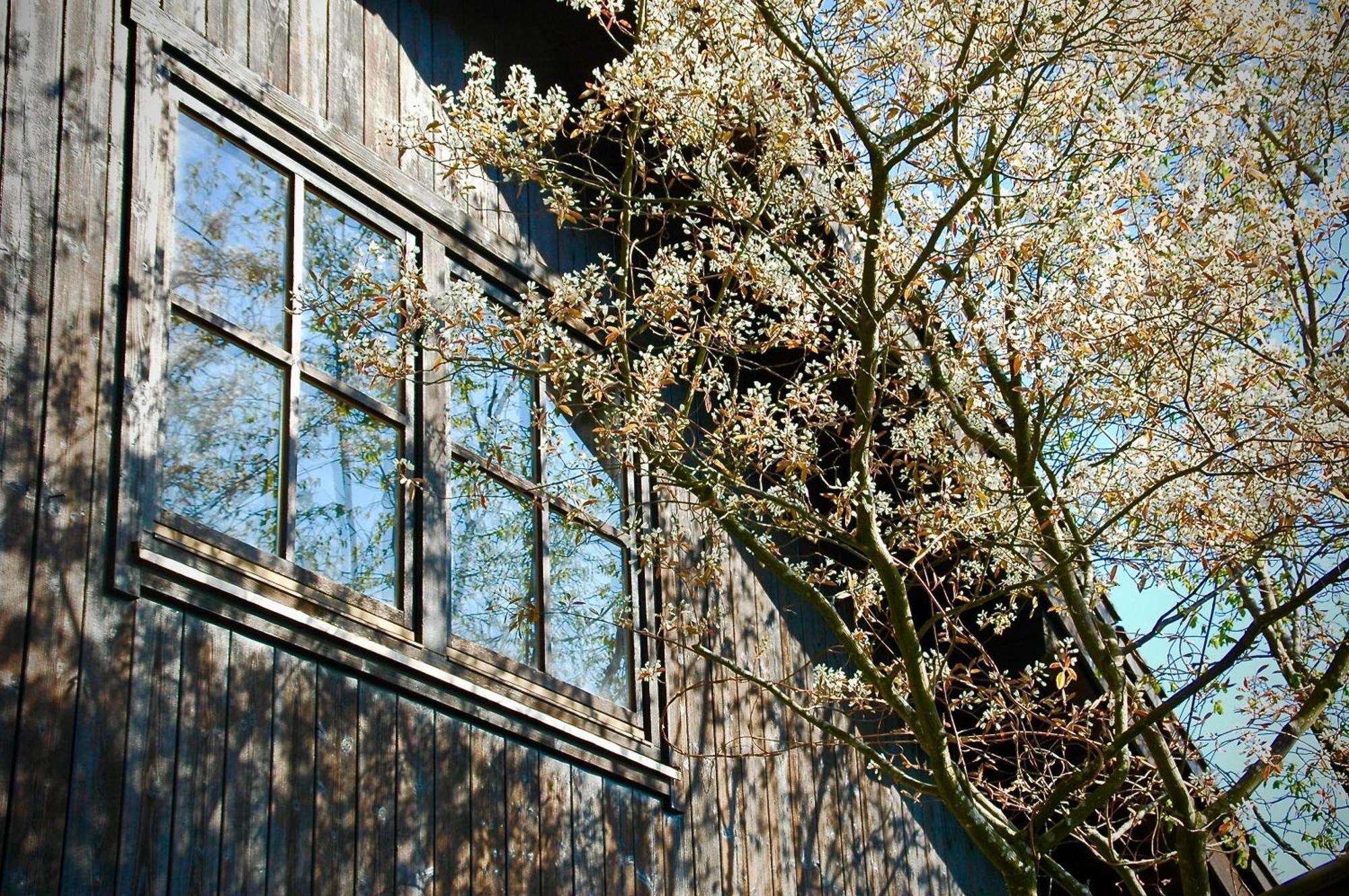 Charmante Ferienwohnung Mit Balkon Im 5-Seen-Land 海臣道夫皮尔森 外观 照片